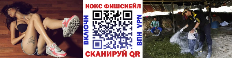 где купить наркотик Дмитровск OMG онион Кокаин 99%