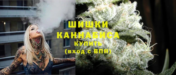 кокс Богородицк