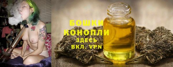 кокс Богородицк