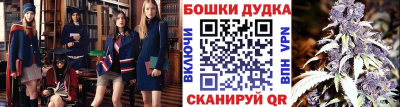 Каннабис ГИДРОПОН  дарк нет какой сайт  Дмитровск 